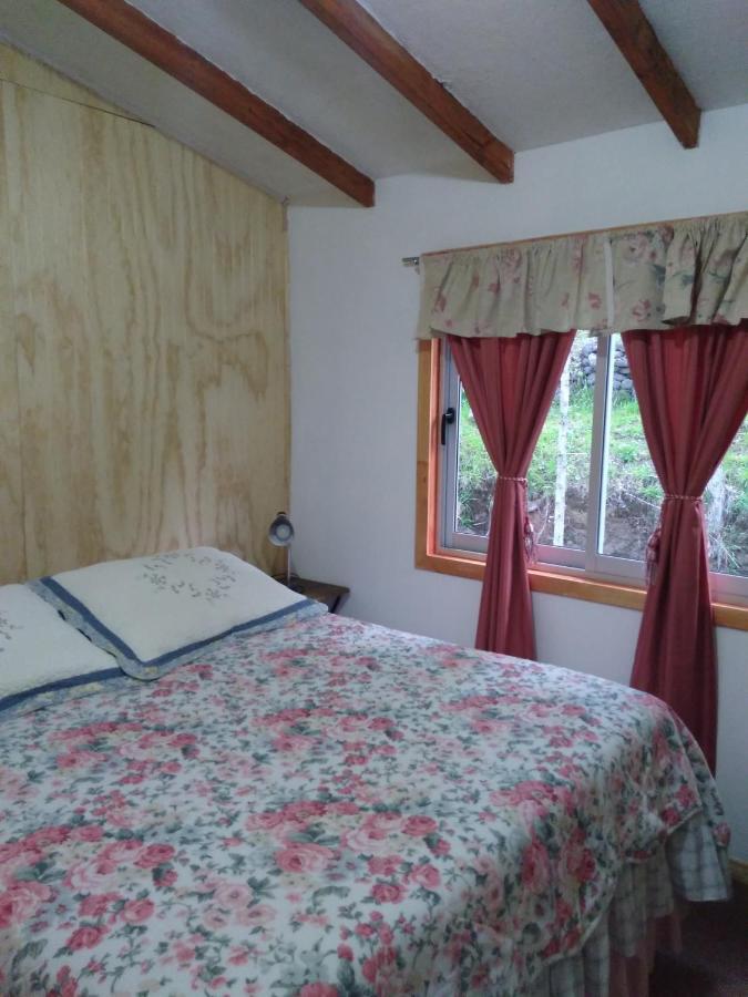 Flor/Victoria Bed & Breakfast Villarrica Ngoại thất bức ảnh