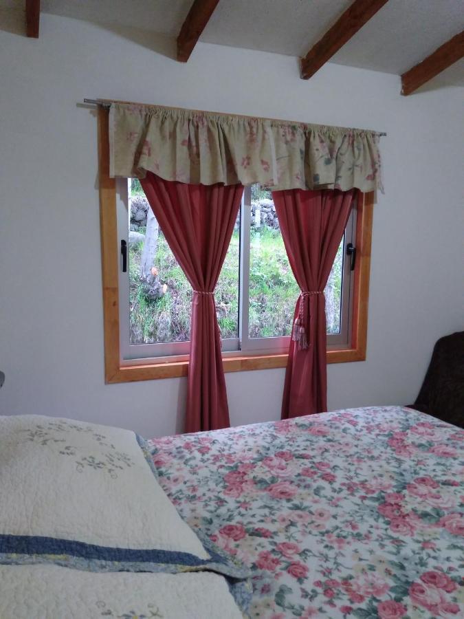 Flor/Victoria Bed & Breakfast Villarrica Ngoại thất bức ảnh